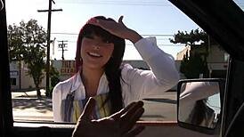 Зрели Лъвици