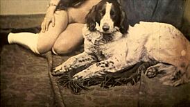 dark lantern entertainment unveils a twisted beauty and the beast tale