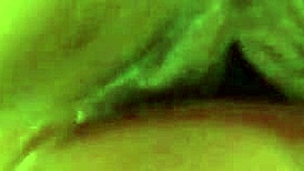 Anus And Pussy Licking Pov