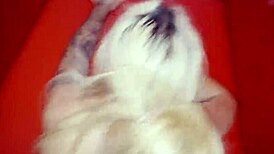 visiting motels in mexico chapter 1 bizou in queretaro