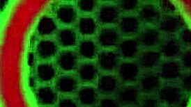 hot vicky vette teases her boss with office masturbation, wanna watch?