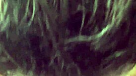 she sucked that cock on that summer day