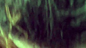 she sucked that cock on that summer day