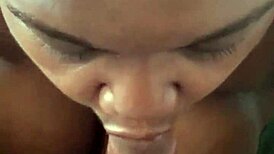 she sucked that cock on that summer day