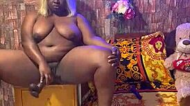 sundaydogood614 update 318 vid 20240715 143701 jul 15 2024