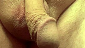 i show my flaccid cock in this homemade close-up