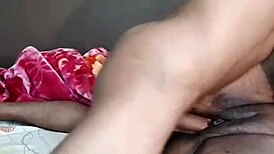 עדכון ניגרקירסט 1363 פיטל יוני 09 2025