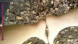 Little Nylon Forest Walk