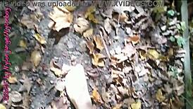 Little Nylon Forest Walk