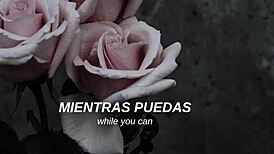 mcr - i dont love you sub español