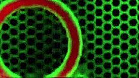 Demanding Boss Nina Kayy Manages Male Employees