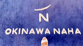 Okinawa hibiscus nipples in fucking and sleeping scene