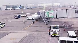 Okinawa hibiscus nipples in fucking and sleeping scene