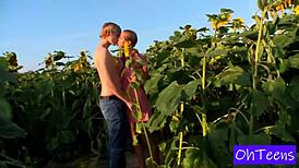 Kitty und Mark gehen im Sonnenblumenfeld ab, ihr Outdoor-Fick ist pure Geilheit!