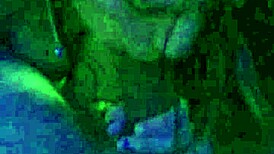 dick gets swallowed by small cute chick, want to see?