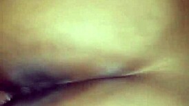 chocolate booty shakes it up with wild moves