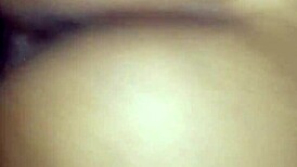 chocolate booty shakes it up with wild moves