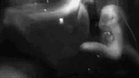 My Secret Life features vintage mermaids