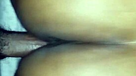 chocolate booty shakes it up with wild moves