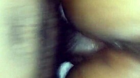 chocolate booty shakes it up with wild moves