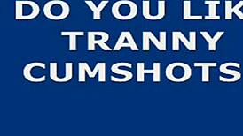 hot shemale cums hard on webcam, wow! 😍