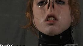 let's hear sadomasochism stories from the group fucking contest