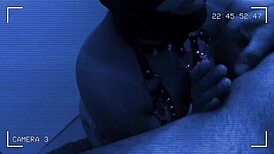 Why is Roxy the sex slave sucking that big cock?