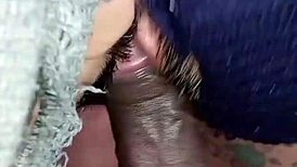 tourists enjoy hike and surprise encounter on trail