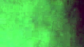 Omar from Germany explores local culture.