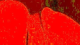 Close-Up View of Transsexual Interaction in Face Down Position