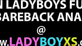 hé ladyboy, continue sucer pendant que tu te branles