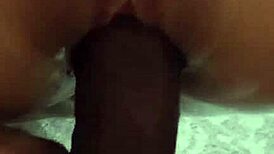 Cherie DeVille Impregnated by Stepbrother