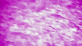 Indian Wife Wants Thick Long Dick!