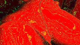 Close-Up View of Transsexual Interaction in Face Down Position