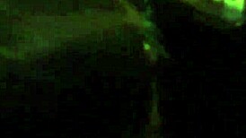 tranny sucks big cock on the streets of downtown philly