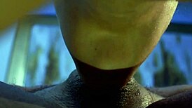 Swallowing the Whole Thing