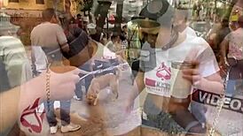 Walking hot girls on leashes in Sao Paulo