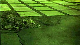 Extreme Hard Milf Domination For Teens!