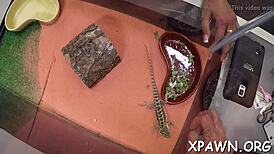 Amateur Exhibitionist Sucks Cock and Gets Fucked