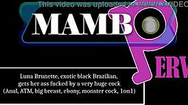 Luna morena recibe follada en culo