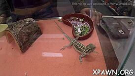 Amateur Exhibitionist Sucks Cock and Gets Fucked