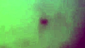 sexy pawg enjoys getting fucked