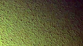 Friday night with amateurs