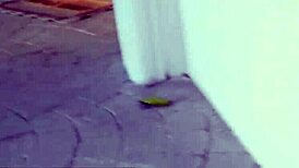 ryan keely wears lingerie heels rides cock