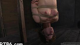 watch this bondage femdom session with rough blowjobs and wet pussies