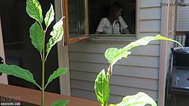 Watch Nikki get fucked from behind?