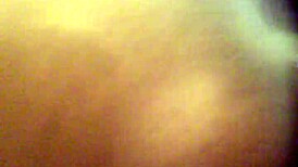 Hey, tjek denne fede røv der ryster, stor numse for dage