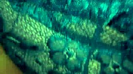 cojiendo ami amante casada y puta