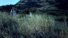 Scarlet Red And Blake Eden Enchant With Lesbian Passion