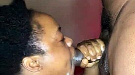 bbw slut, you sucking step brothers big dick for rent?